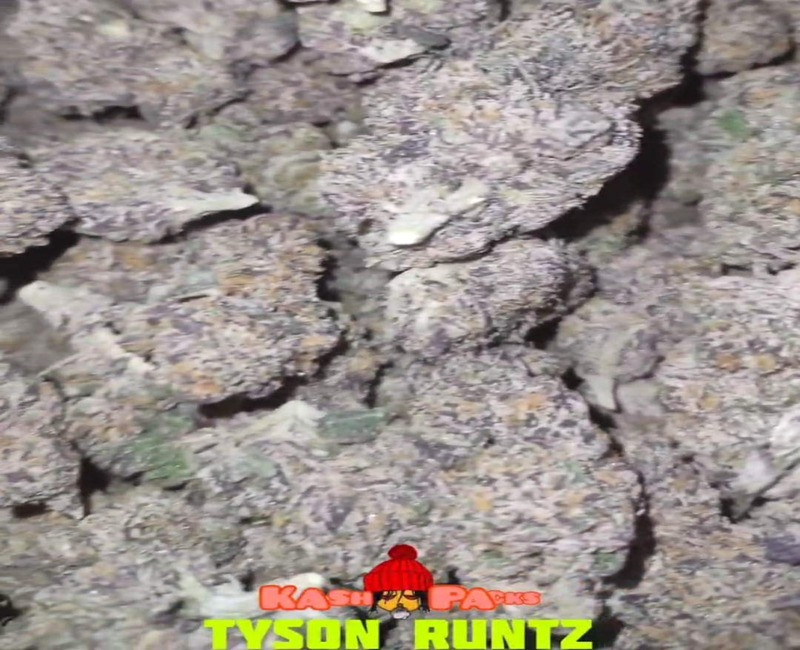 Kash Packs Tyson Runtz